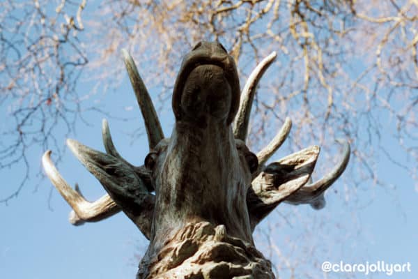 Pellicule Cinestill 400D 135 36 poses Clara Jolly