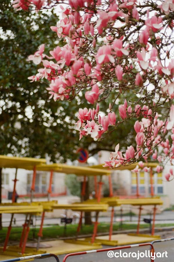 Kodak Proimage 100 ISO Clara Jolly