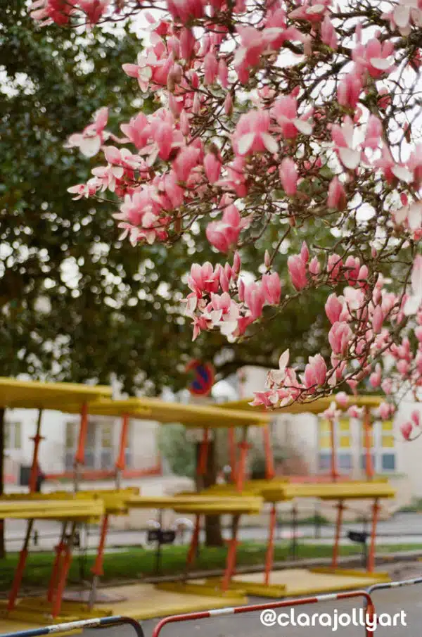 Kodak Proimage 100 ISO Clara Jolly