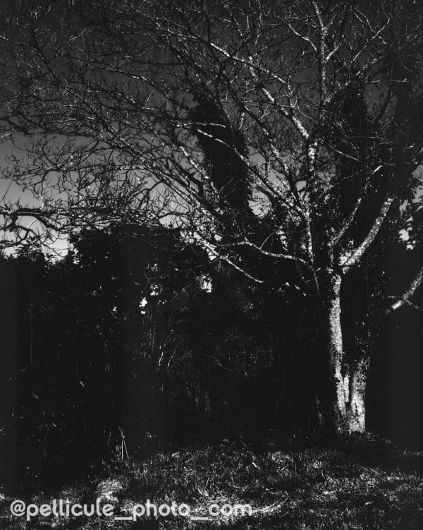 Film Washi E 3 ISO