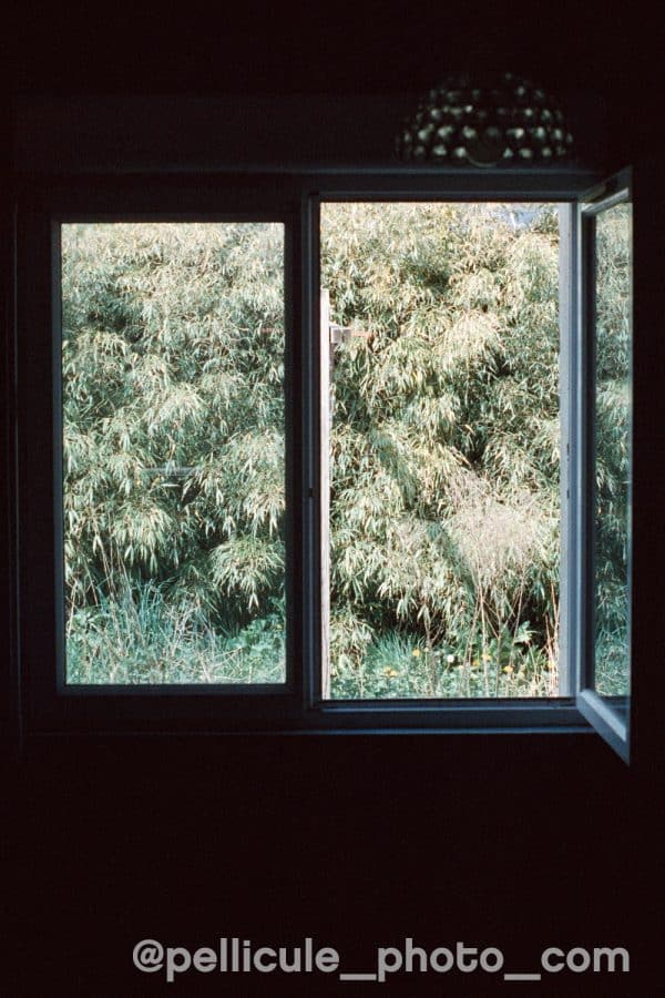 Film couleur 800 ISO Hundred Films