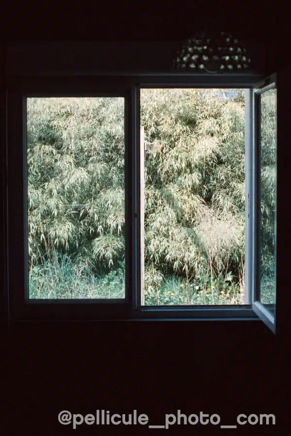 Film couleur 800 ISO Hundred Films