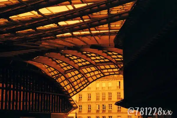 Pellicule couleur Harman RED redscale