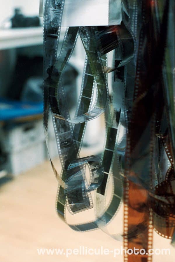 Film couleur 800 ISO MIRA FILMS