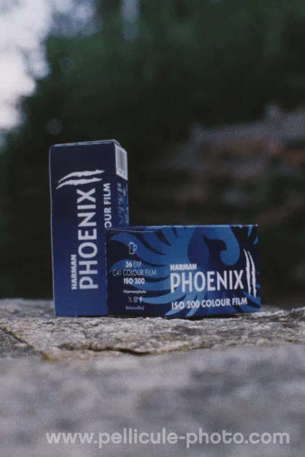 Nouveau film couleur Harman Phoenix II