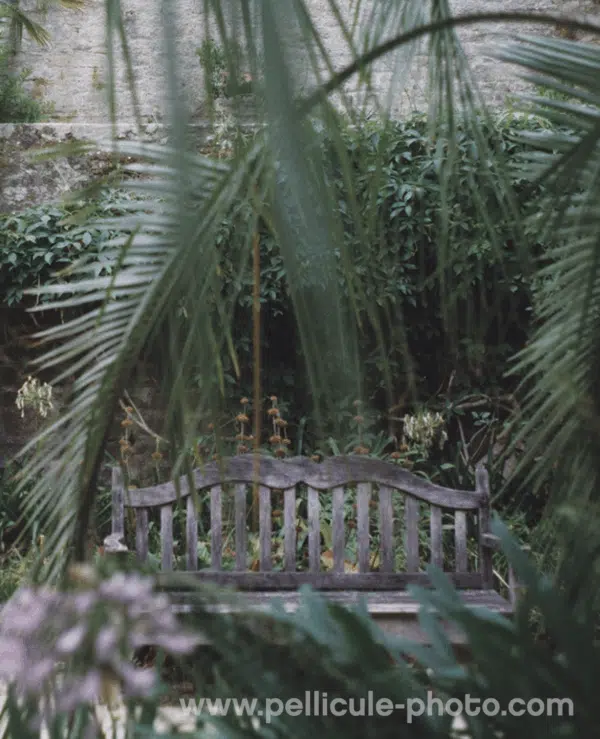 Film 120 couleur Harman Phoenix II