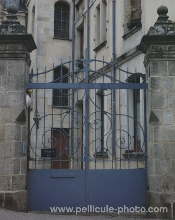 Film 120 couleur Harman Phoenix II