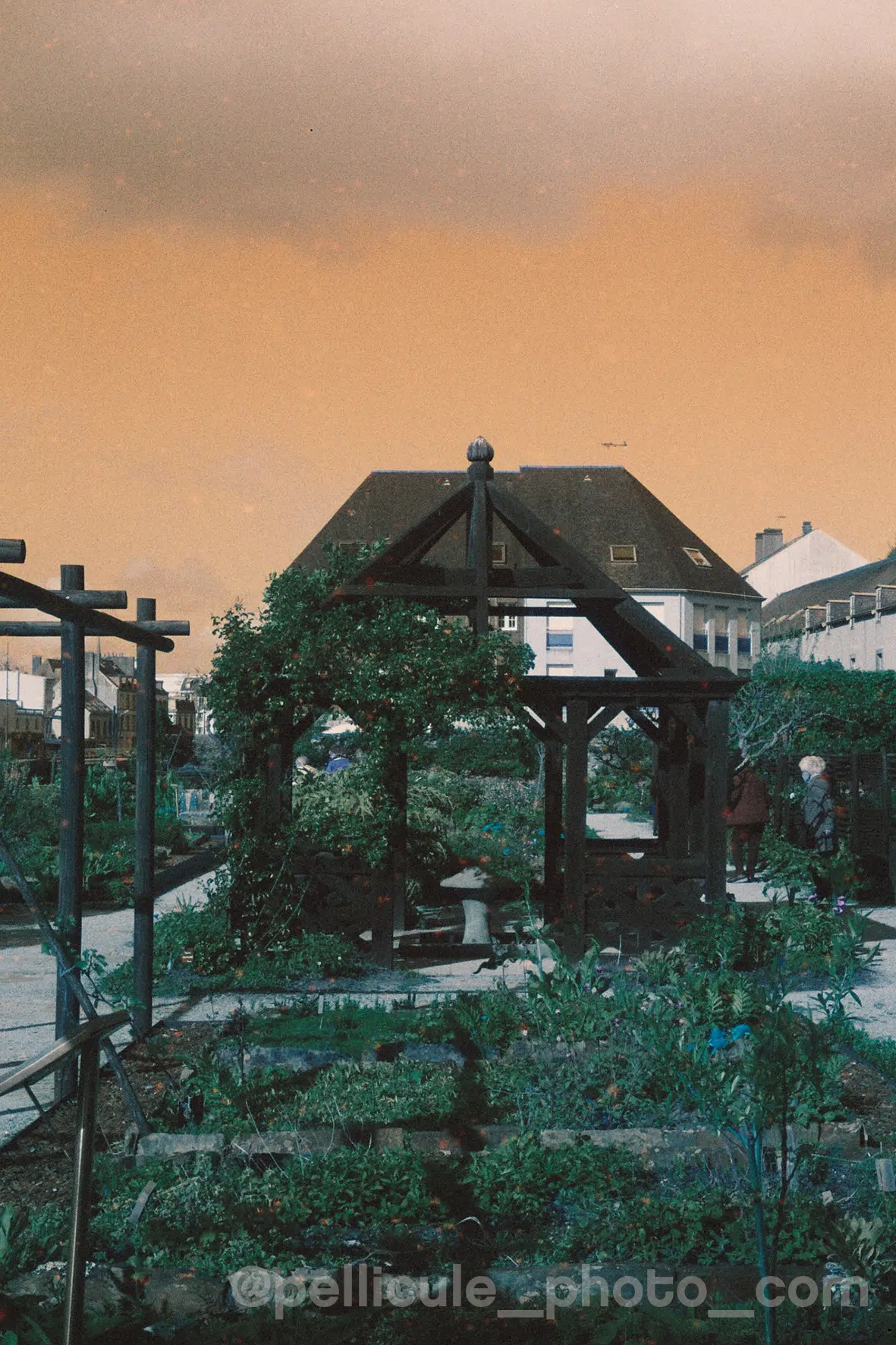 Film créatif couleur Harman Azure 125 ISO