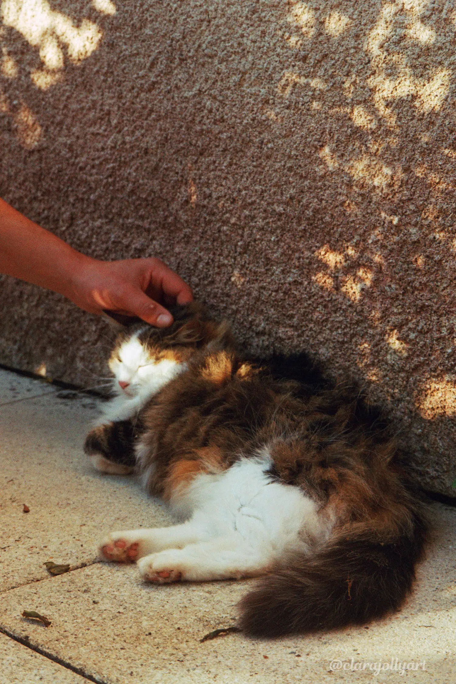 Pellicule couleur Lucky 200 36 poses