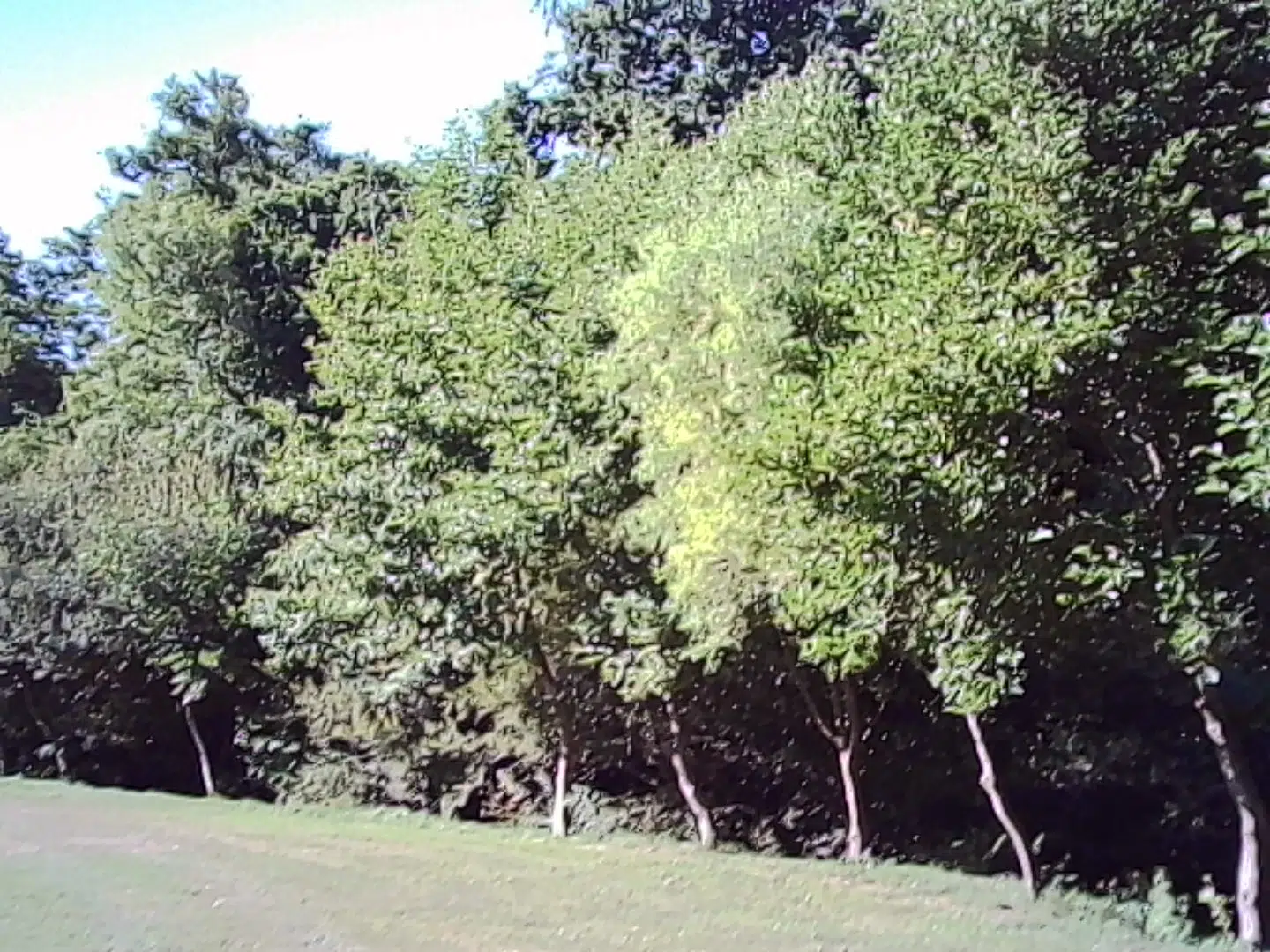 Kodak Charmera