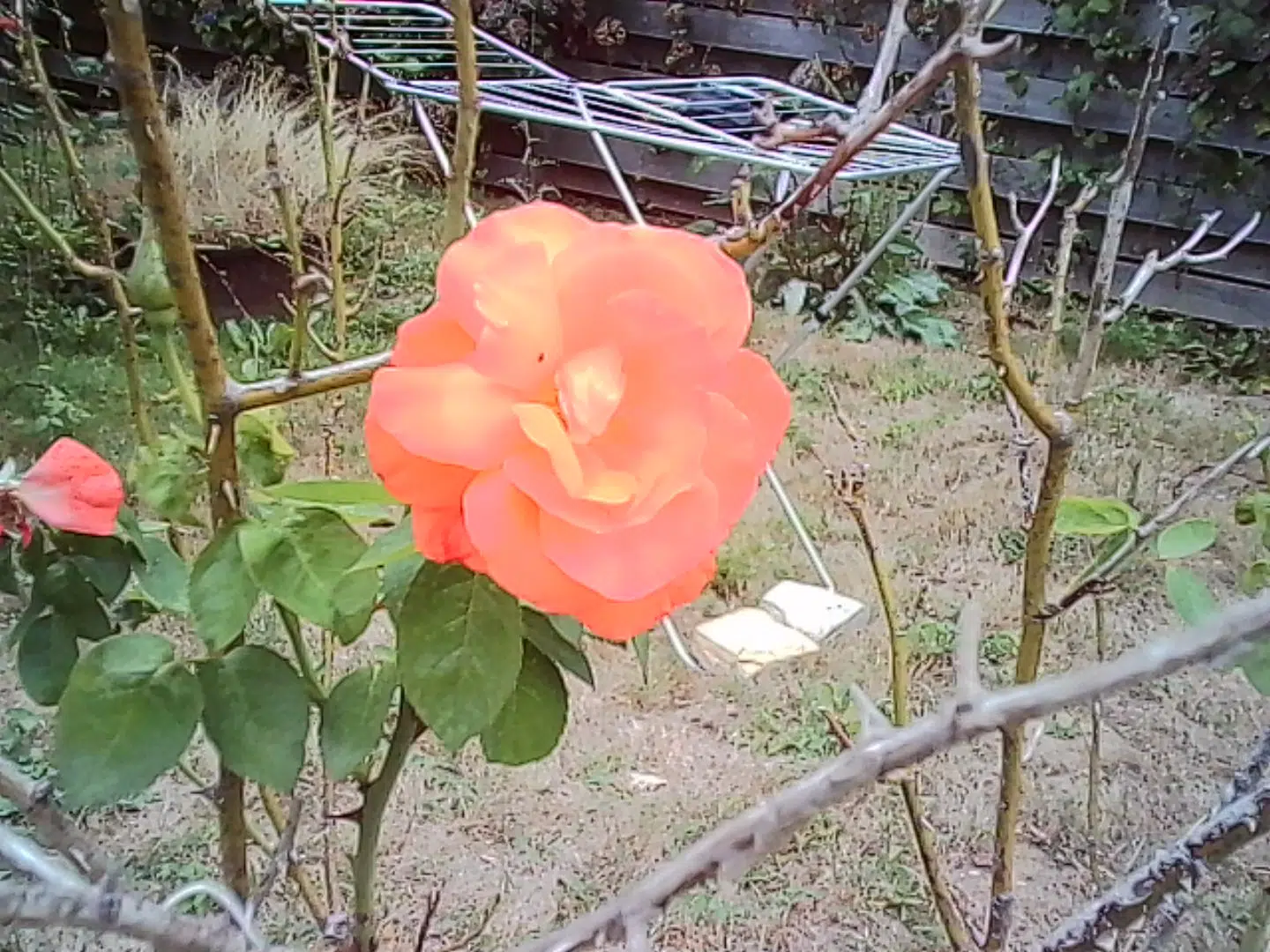 Kodak Charmera